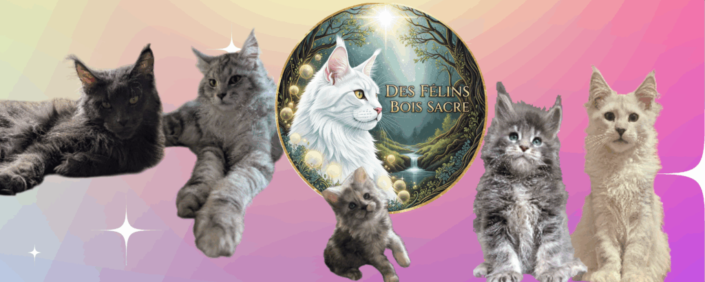 Gamer_Twitch_Banner_1_1749320124109