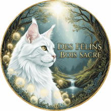 chatterie-desfelinsboissacre